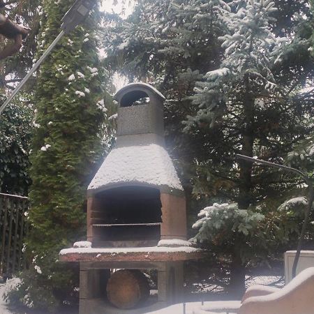 Golden Apartman Oroshaza Bagian luar foto