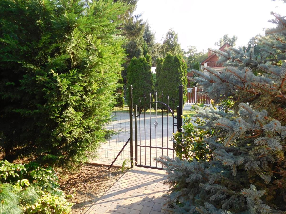 Golden Apartman Oroshaza Bagian luar foto