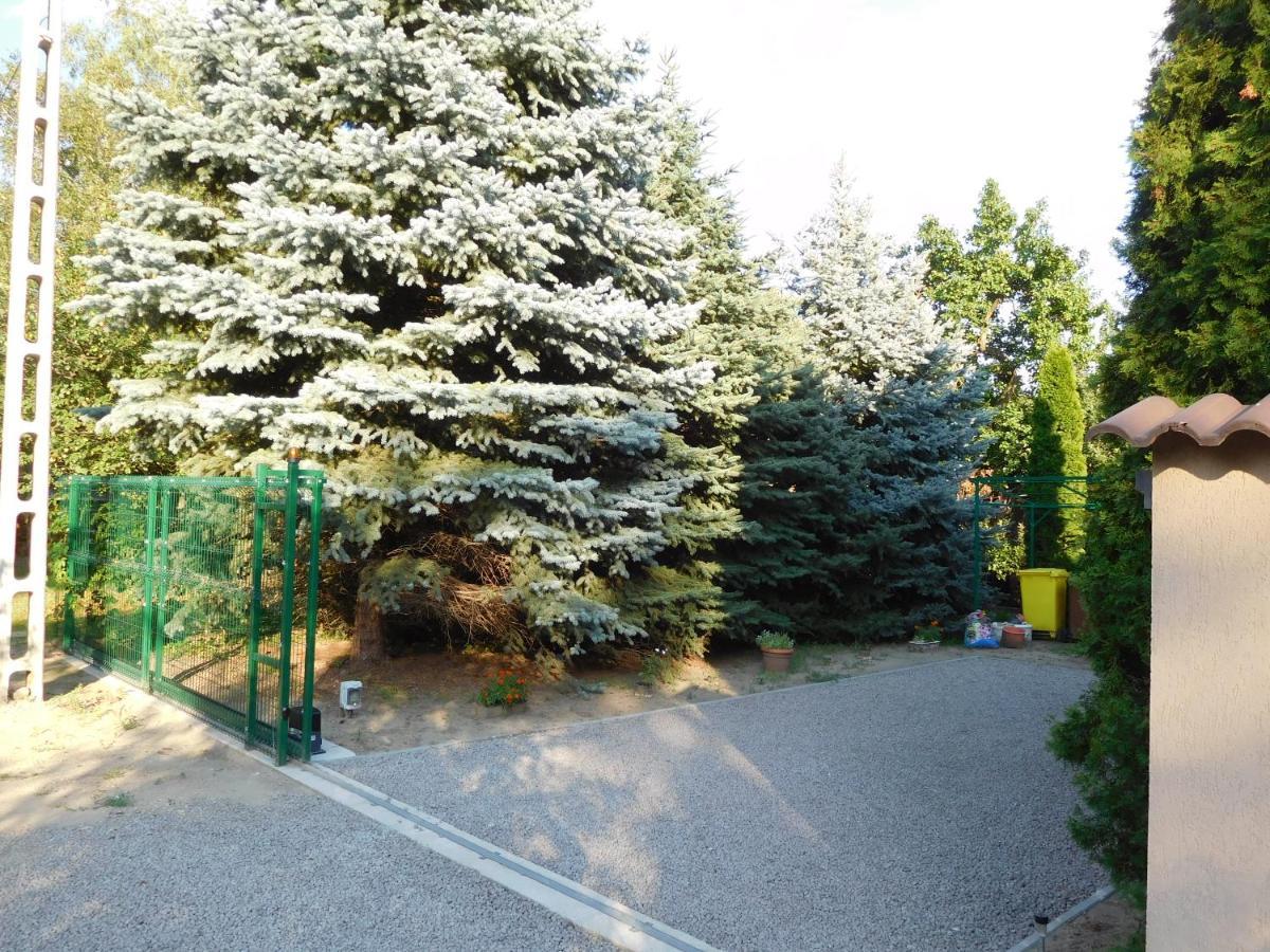 Golden Apartman Oroshaza Bagian luar foto